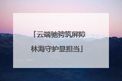 云端驰骋筑屏障 林海守护显担当