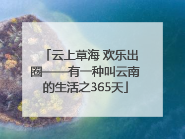 云上草海 欢乐出圈——有一种叫云南的生活之365天