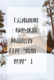 云南嵩明：绿色优质种苗培育 打开“缤纷世界”