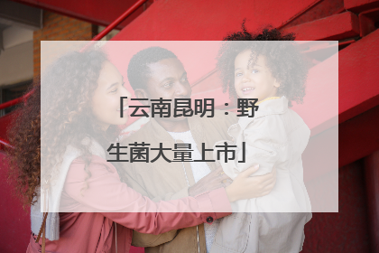 云南昆明：野生菌大量上市