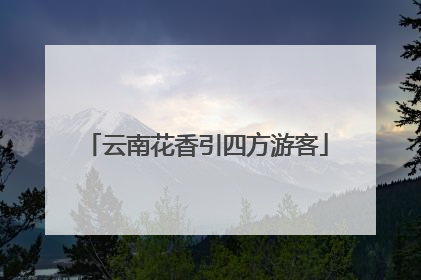 云南花香引四方游客