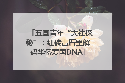五国青年“大社探秘”：红砖古厝里解码华侨爱国DNA
