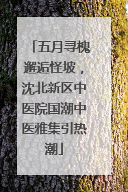 五月寻槐邂逅怪坡，沈北新区中医院国潮中医雅集引热潮