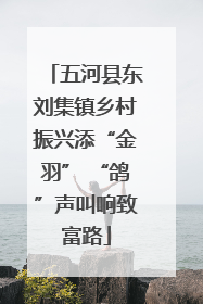 五河县东刘集镇乡村振兴添“金羽” “鸽”声叫响致富路