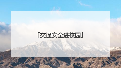 交通安全进校园