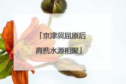 京津冀屈原后裔携水源相聚