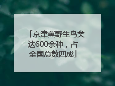 京津冀野生鸟类达600余种，占全国总数四成