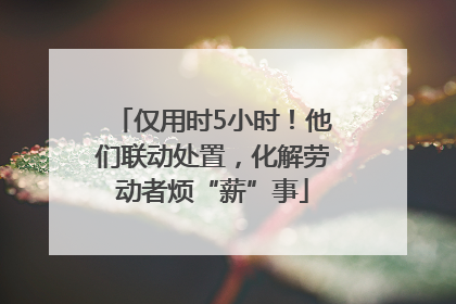仅用时5小时！他们联动处置，化解劳动者烦“薪”事