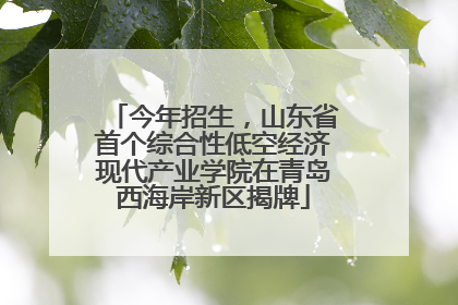 今年招生，山东省首个综合性低空经济现代产业学院在青岛西海岸新区揭牌