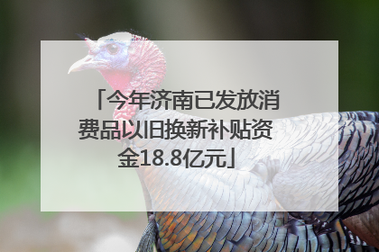今年济南已发放消费品以旧换新补贴资金18.8亿元