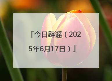 今日辟谣（2025年6月17日）