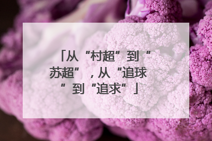 从“村超”到“苏超”，从“追球”到“追求”