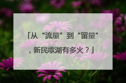 从“流量”到“留量”，新民歌湖有多火？
