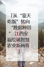 从“靠天吃饭”转向“数据种田” 江西安福绘就智慧农业新画卷