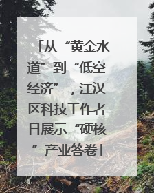 从“黄金水道”到“低空经济”，江汉区科技工作者日展示“硬核”产业答卷
