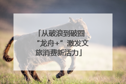 从破浪到破圈 “龙舟+”激发文旅消费新活力