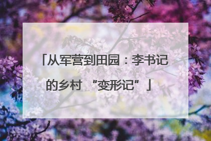 从军营到田园：李书记的乡村 “变形记”