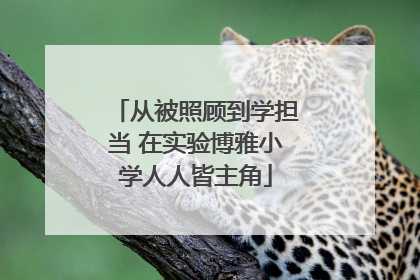从被照顾到学担当 在实验博雅小学人人皆主角