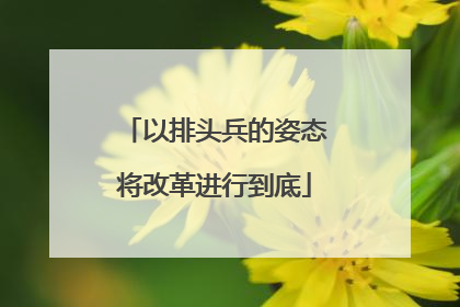 以排头兵的姿态将改革进行到底