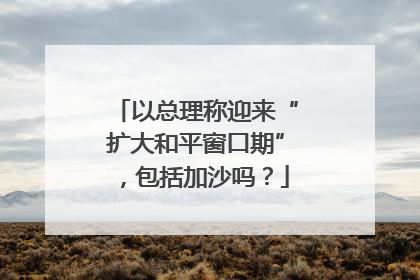 以总理称迎来“扩大和平窗口期”，包括加沙吗？