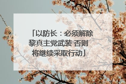 以防长：必须解除黎真主党武装 否则将继续采取行动