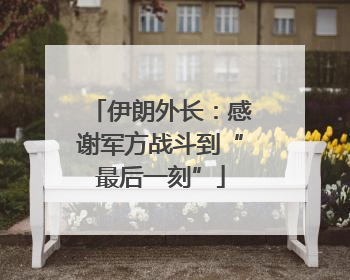 伊朗外长：感谢军方战斗到“最后一刻”
