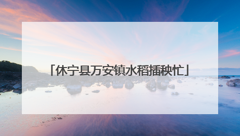 休宁县万安镇水稻插秧忙