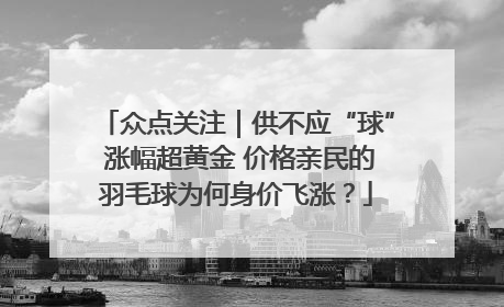众点关注｜供不应“球” 涨幅超黄金 价格亲民的羽毛球为何身价飞涨？