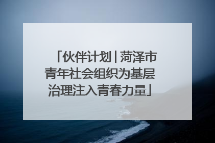 伙伴计划│菏泽市青年社会组织为基层治理注入青春力量