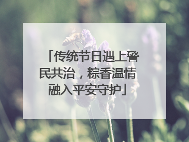 传统节日遇上警民共治，粽香温情融入平安守护