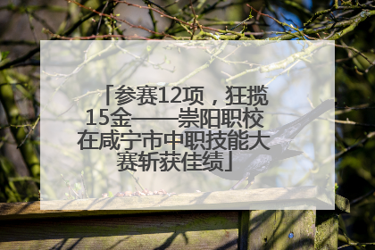 参赛12项，狂揽15金——崇阳职校在咸宁市中职技能大赛斩获佳绩