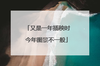 又是一年插秧时 今年图景不一般