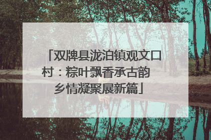 双牌县泷泊镇观文口村：粽叶飘香承古韵 乡情凝聚展新篇