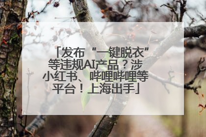 发布“一键脱衣”等违规AI产品？涉小红书、哔哩哔哩等平台！上海出手