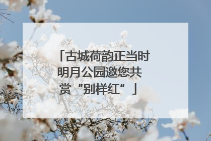 古城荷韵正当时 明月公园邀您共赏“别样红”