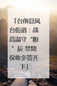 台前县凤台街道：战高温守“粮”辰 禁烧保收多管齐下