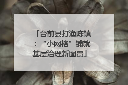 台前县打渔陈镇：“小网格”铺就基层治理新图景