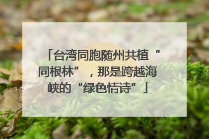 台湾同胞随州共植“同根林”，那是跨越海峡的“绿色情诗”