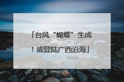 台风“蝴蝶”生成！或登陆广西沿海
