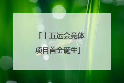 十五运会竞体项目首金诞生