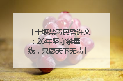 十堰禁毒民警许文：26年坚守禁毒一线，只愿天下无毒