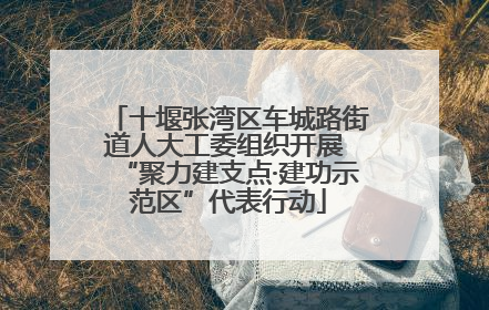 十堰张湾区车城路街道人大工委组织开展 “聚力建支点·建功示范区”代表行动