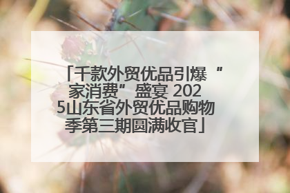千款外贸优品引爆“家消费”盛宴 2025山东省外贸优品购物季第三期圆满收官