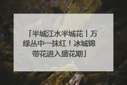 半城江水半城花丨万绿丛中一抹红！冰城锦带花进入盛花期