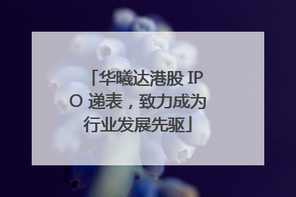 华曦达港股 IPO 递表，致力成为行业发展先驱