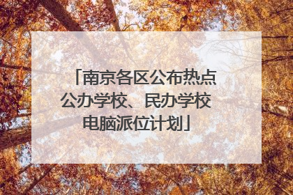 南京各区公布热点公办学校、民办学校电脑派位计划