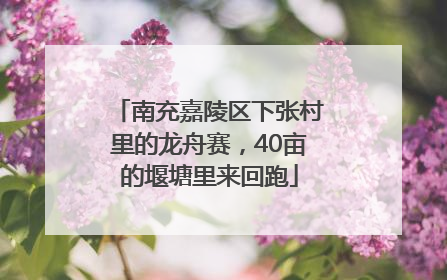 南充嘉陵区下张村里的龙舟赛，40亩的堰塘里来回跑