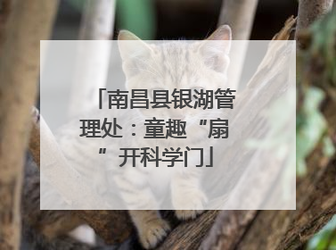 南昌县银湖管理处：童趣“扇”开科学门