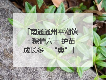 南通通州平潮镇：粽情六一 护苗成长多一“典”