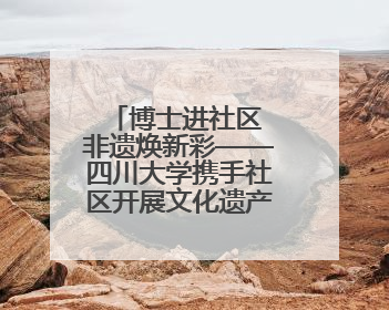 博士进社区 非遗焕新彩——四川大学携手社区开展文化遗产日特别活动
